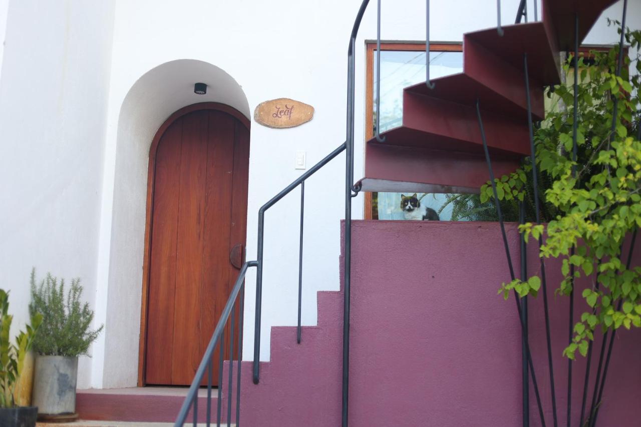 Cherry Suites Dalat Buitenkant foto